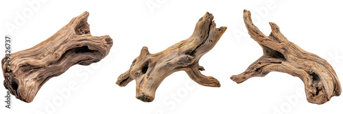Driftwood Isolated on Transparent Background