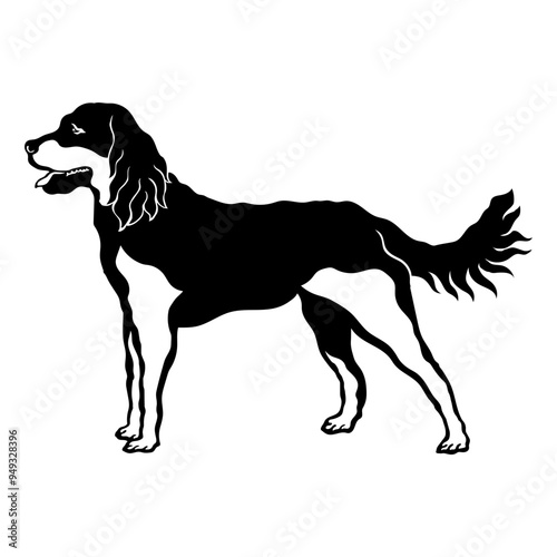 Picardy Spaniel