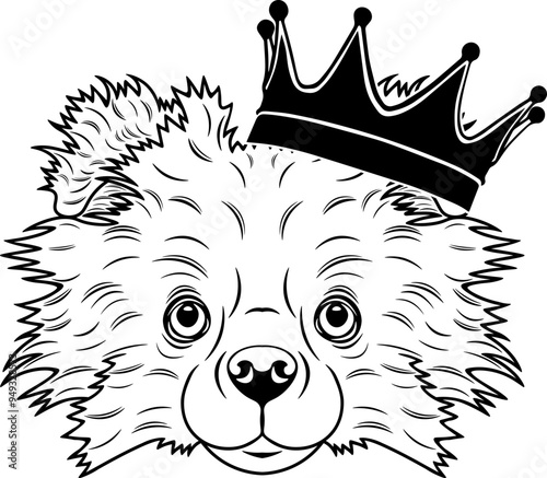 Pomeranian Wearing A Crown