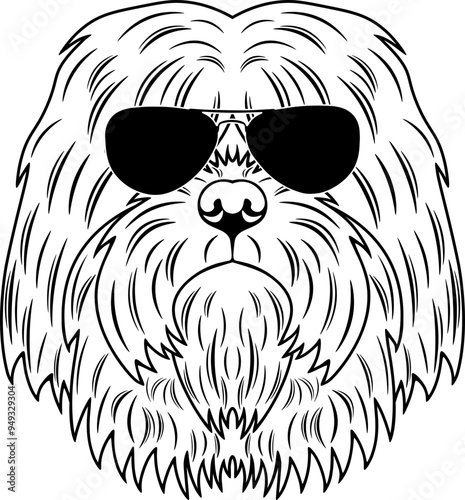 Portuguese Sheepdog In Sunglasses