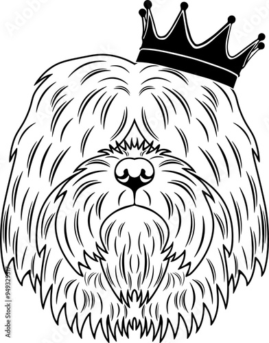 Portuguese Sheepdog Wearing A Crown