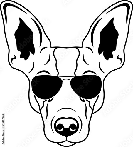 Rat Terrier In Sunglasses