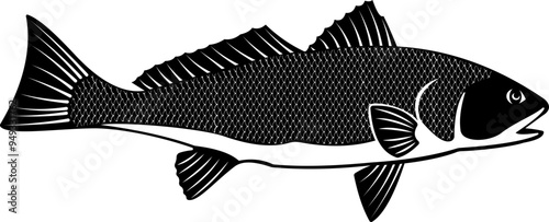RED DRUM