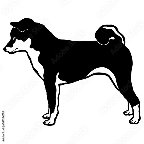 Shiba Inu