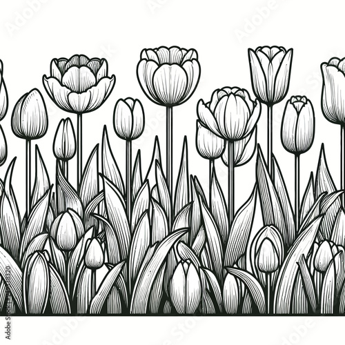 A row of tulips in different stages of blooming, each with clear, bold outlines vector