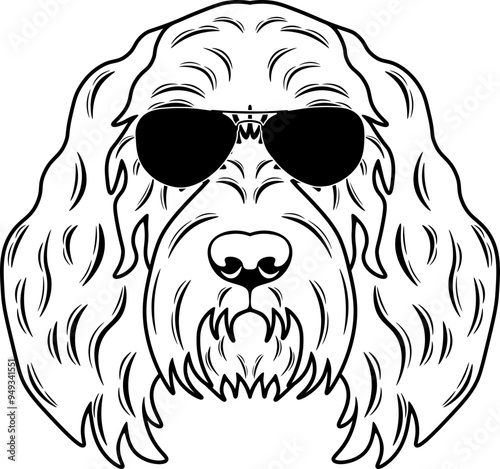 Spinone Italiano In Sunglasses