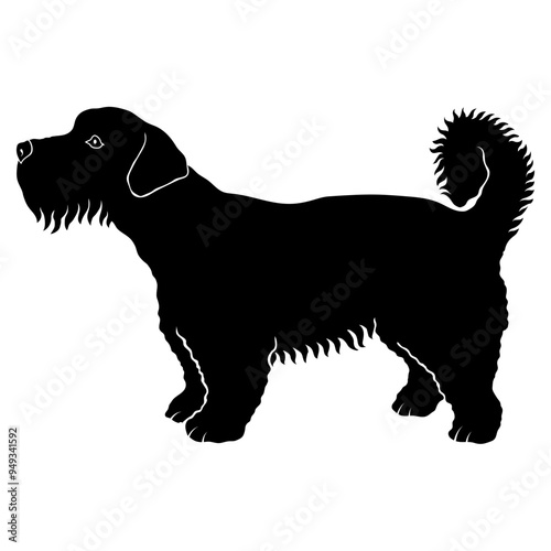 Sporting Lucas Terrier
