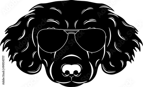 Stabyhoun In Sunglasses