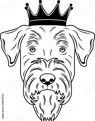Standard Schnauzer Wearing A Crown