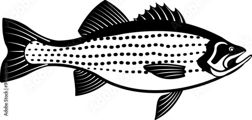 STRIPED BASS