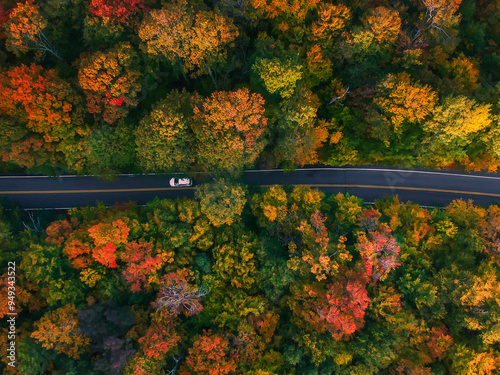 Car Drives on Beautiful Forest Road Aerial Birds Eye View Drone Show in New England in Autumn. Fall Foliage Colorful Scenic Drives Tourism Vacation