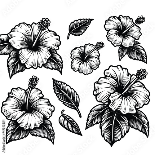 A single hibiscus flower with broad petals and prominent stamen, framed by large leaves vector