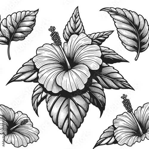 A single hibiscus flower with broad petals and prominent stamen, framed by large leaves vector