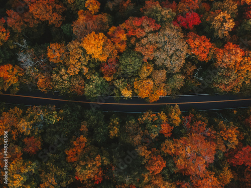 Moody Fall Vibes Aerial Birds Eye View of Paved Road Through Colorful Forest of Fall Foliage Trees in Autumn Season #949343586