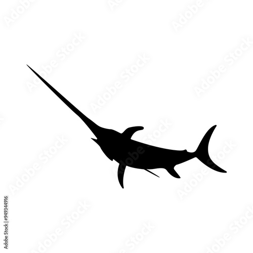 Swordfish