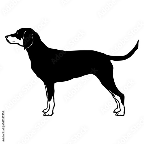 Transylvanian Hound
