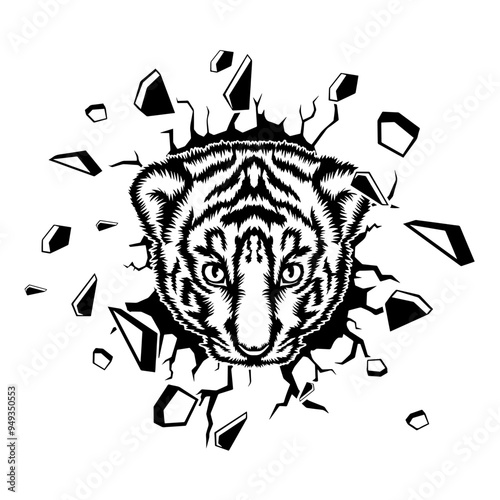 Wall Smashing  Baby Tiger