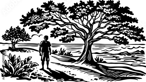 sketch of a view of a tree on the beach, vector illustration
