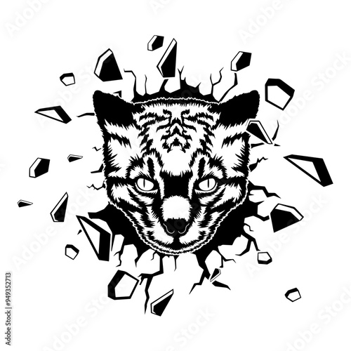 Wall Smashing  Ocelot