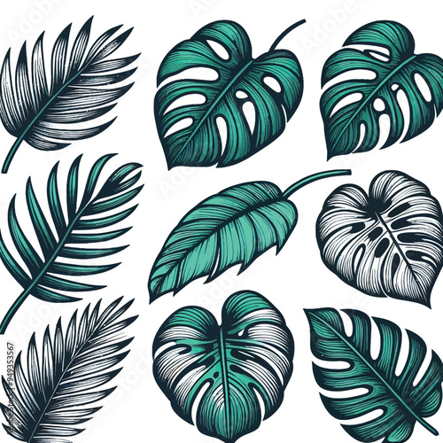 tropical monstera leaf with its iconic split leaves, perfect for bold color choices