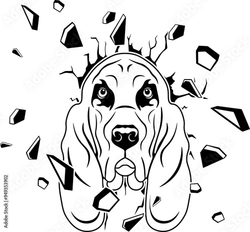 Wall Smashing Bloodhound