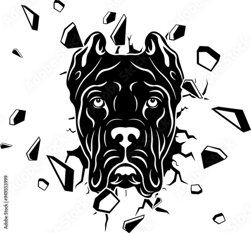 Wall Smashing Cane Corso