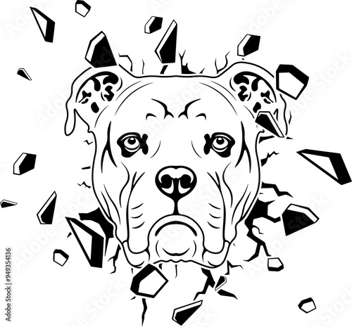 Wall Smashing Dorset Olde Tyme Bulldogge