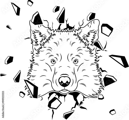 Wall Smashing Icelandic Sheepdog