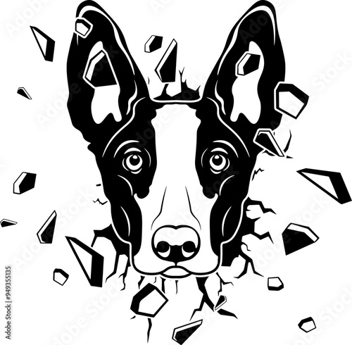Wall Smashing Ibizan Hound