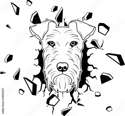 Wall Smashing Irish Terrier