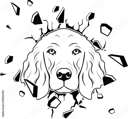 Wall Smashing Irish Setter