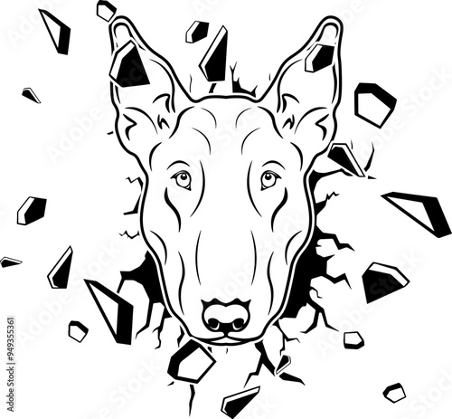 Wall Smashing Miniature Bull Terrier