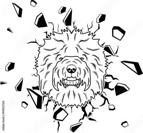 Wall Smashing Old English Sheepdog