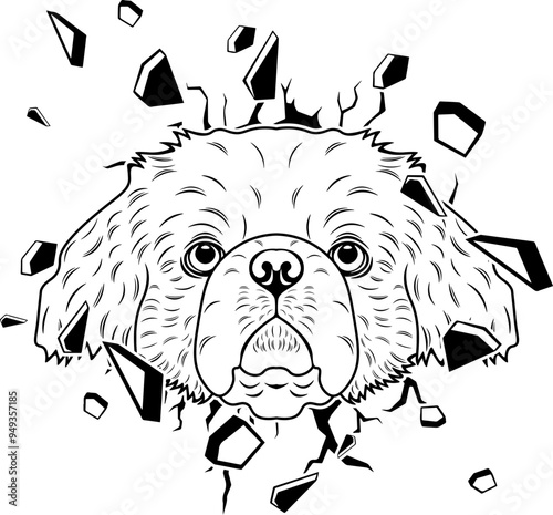 Wall Smashing Pekingese