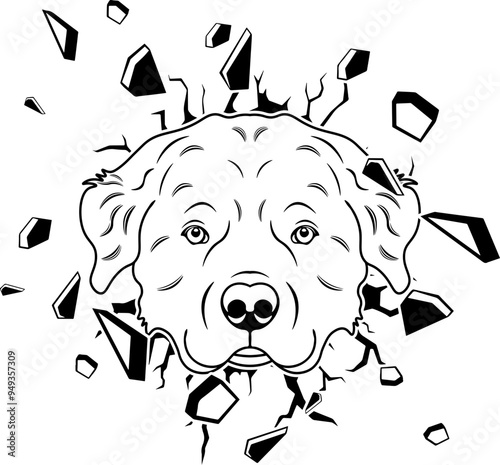Wall Smashing Pyrenean Mountain Dog