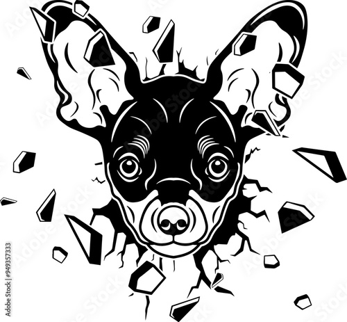 Wall Smashing Russian Toy Terrier