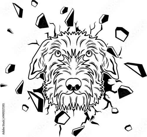 Wall Smashing Scottish Deerhound