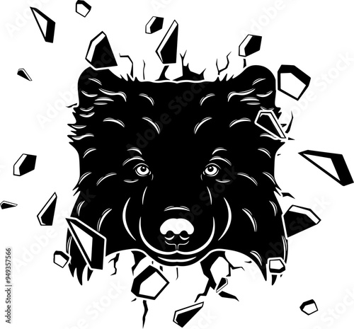 Wall Smashing Swedish Lapphund
