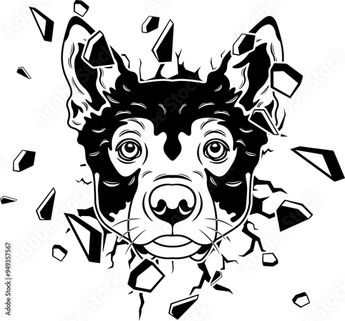 Wall Smashing Swedish Vallhund