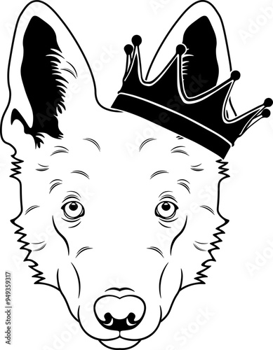 White Swiss Shepherd Wearing A Crown