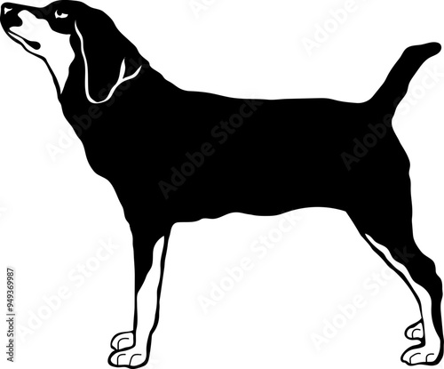 American Leopard Hound