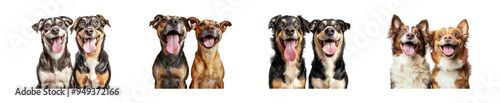 Four Pairs of Happy Dogs Posing Together Isolated on White Background