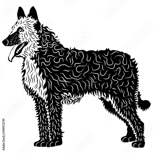 Belgian Laekenois