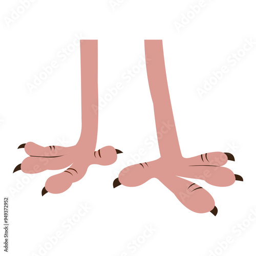 Bird Feet