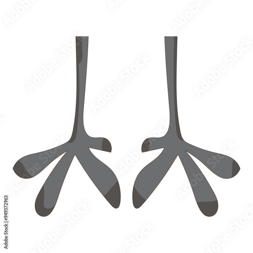 Bird Feet