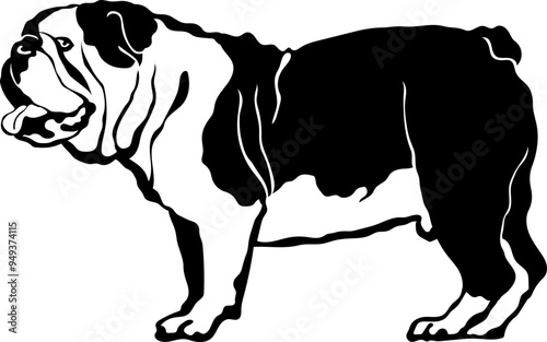 Bulldog