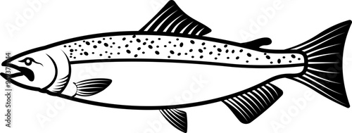 Chinook Salmon