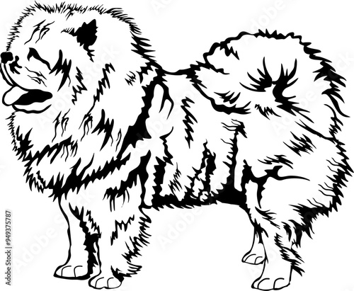 Chow Chow