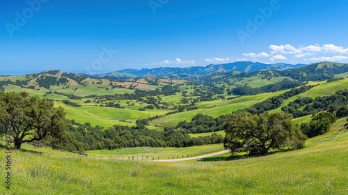 Scenic Mountain Valley with Rolling Green Hills and Blue Sky