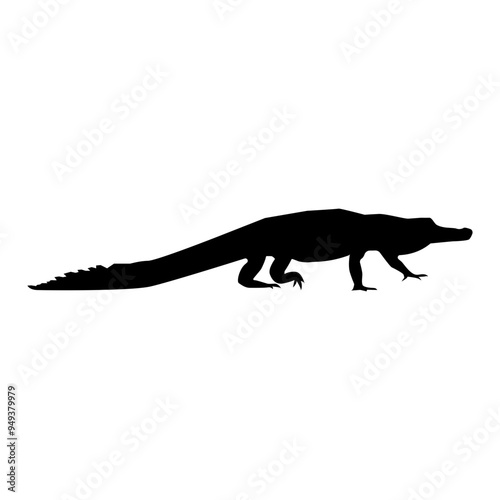 Crocodile